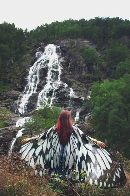 Alas de Mariposa Gigantes Nymph