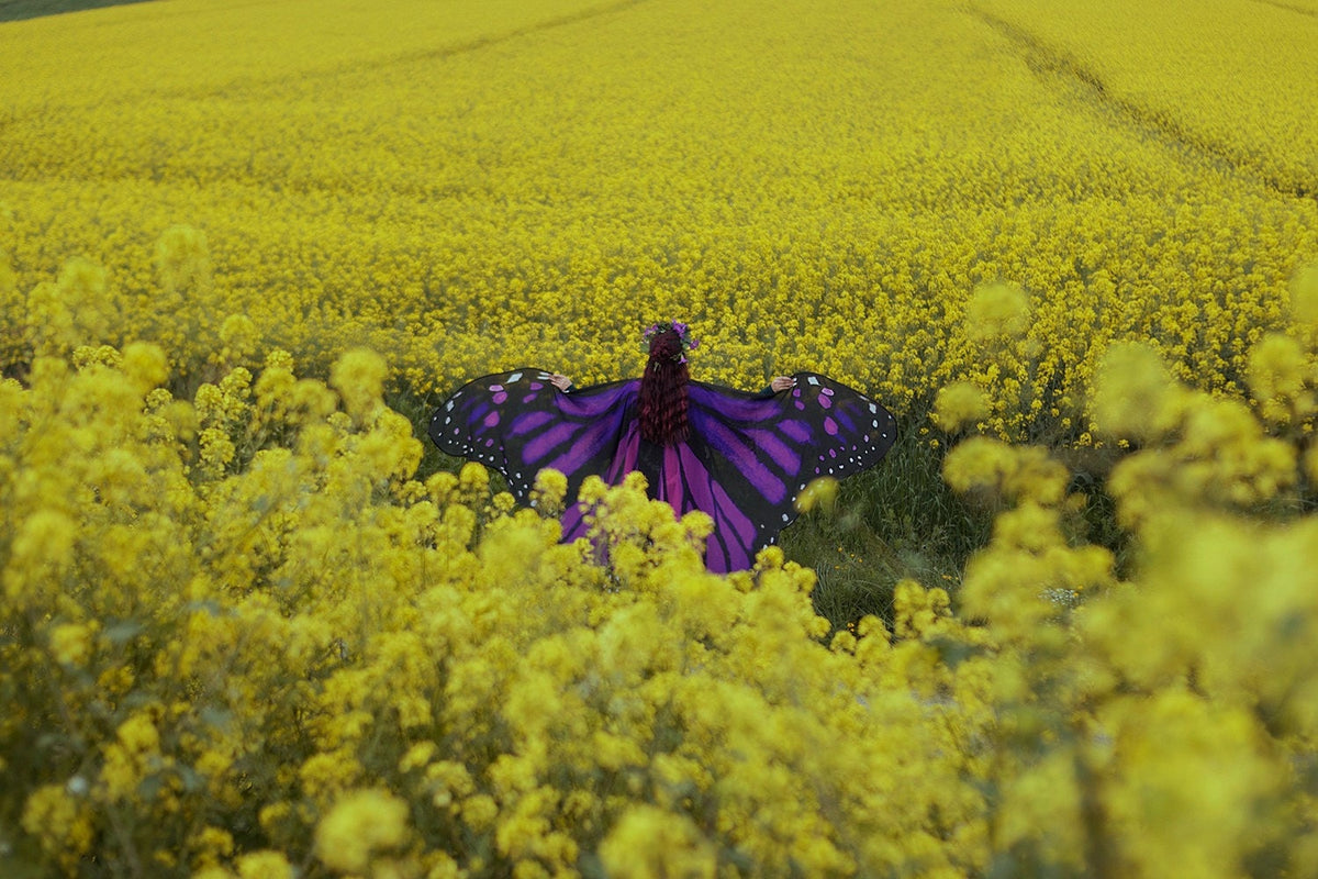 Alas de Mariposa Monarca Morada Gigantes