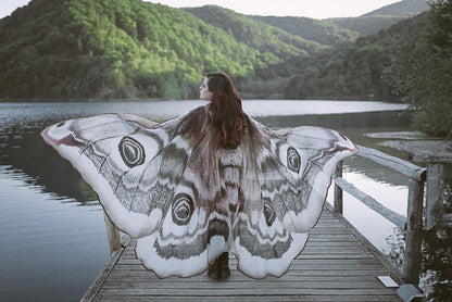 Alas de Polilla Emperador Gigantes