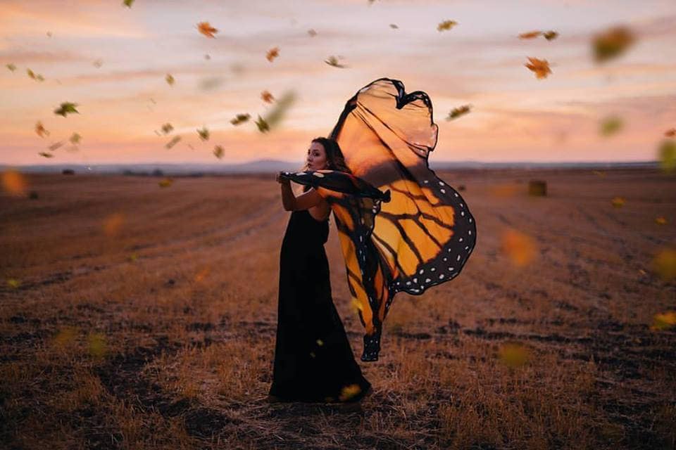Alas de Mariposa Monarca Gigantes