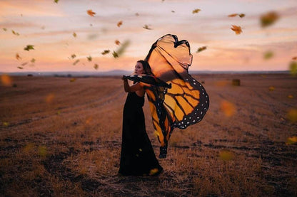 Alas de Mariposa Monarca Gigantes