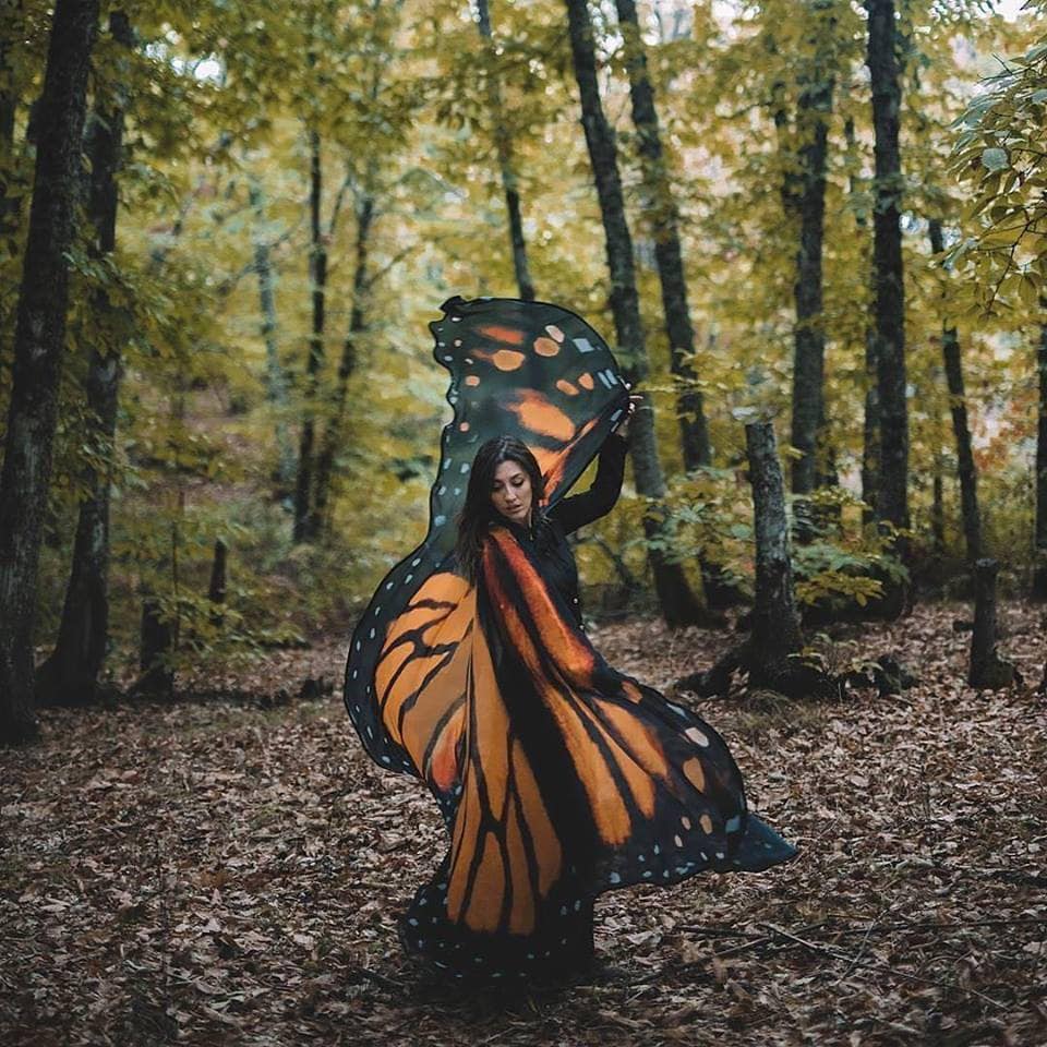 Alas de Mariposa Monarca Gigantes