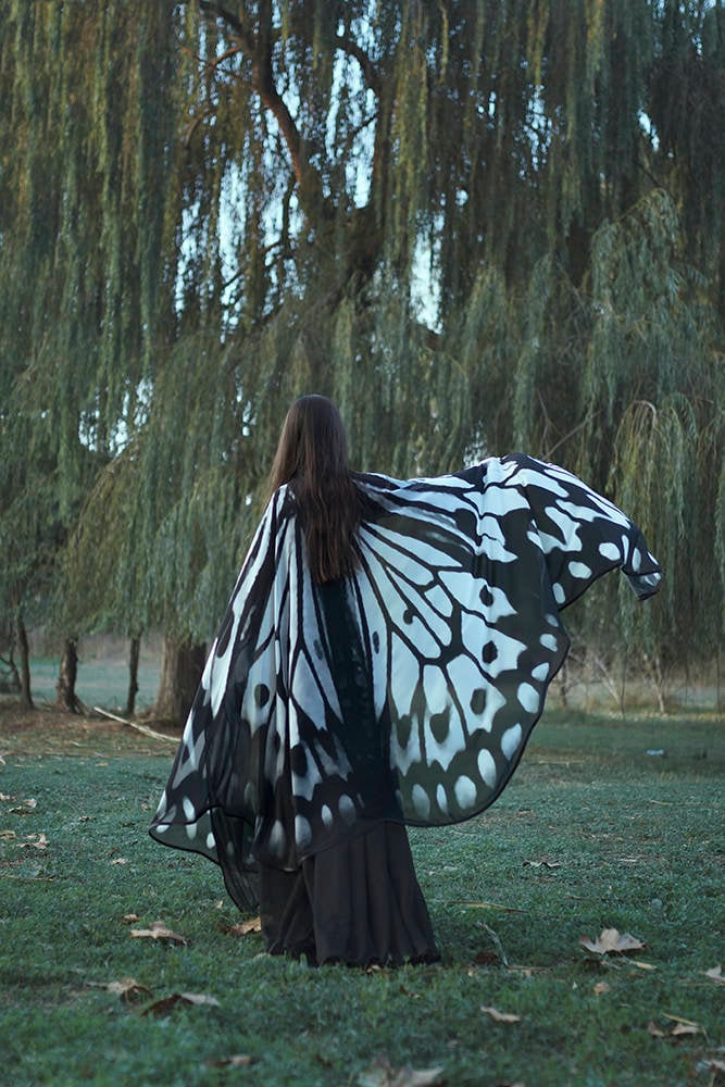 Alas de Mariposa Gigantes Nymph