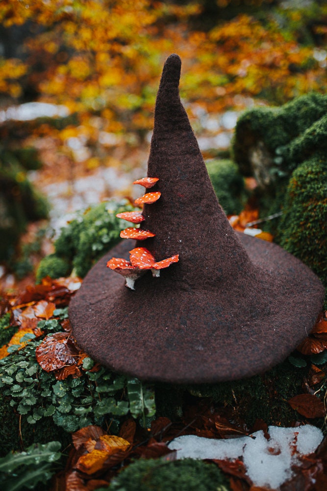 Sombrero de Bruja del Bosque con Setas