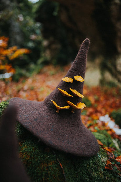 Sombrero de Bruja del Bosque con Setas