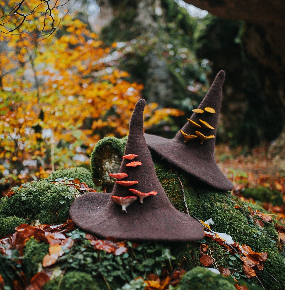 Sombrero de Bruja del Bosque con Setas