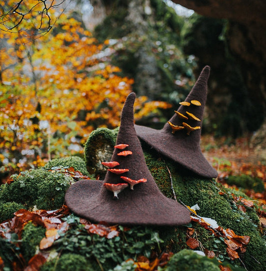 Sombrero de Bruja del Bosque con Setas