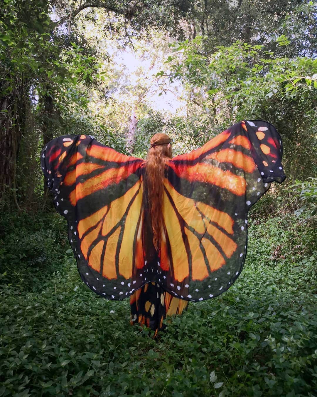 Alas de Mariposa Monarca Gigantes