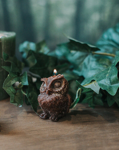 Vela Búho · Frutos del Bosque