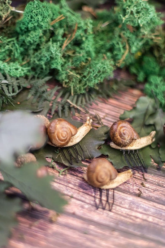 Horquillas de Caracol para el Pelo