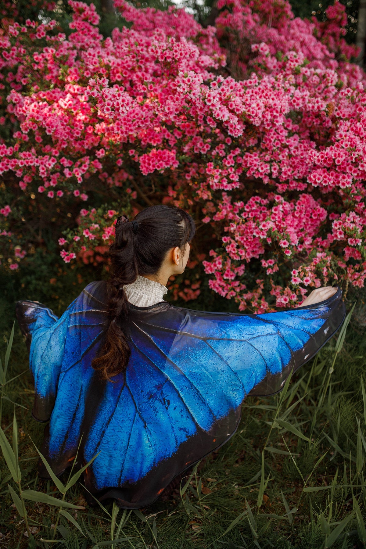 Capa Alas de Mariposa Morpho Azul · Pequeñas