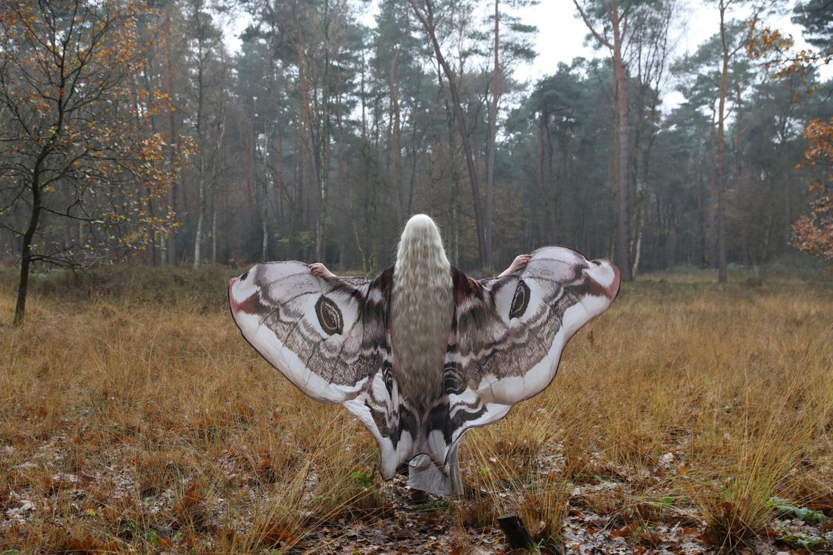 Alas de Polilla Emperador Gigantes