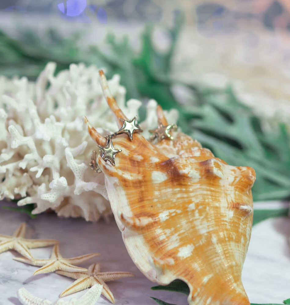 Mermaid Ring - Starfish ring in brass