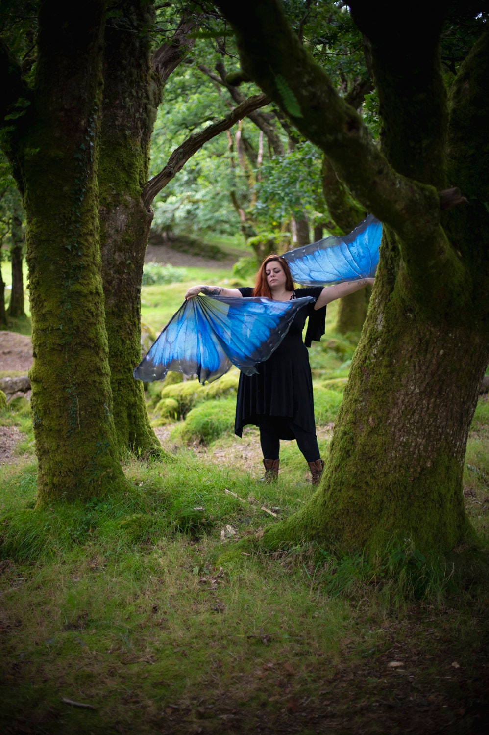 Banderas de Danza Mariposa Morpho Azul