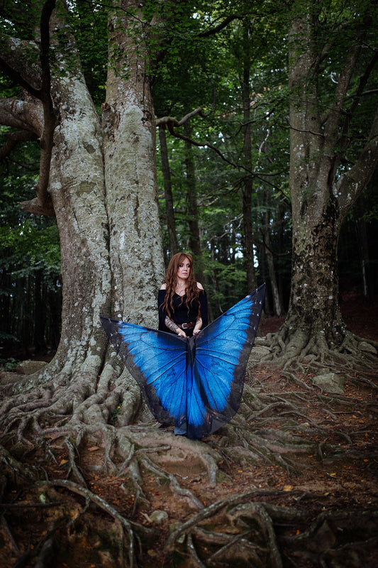 Banderas de Danza Mariposa Morpho Azul