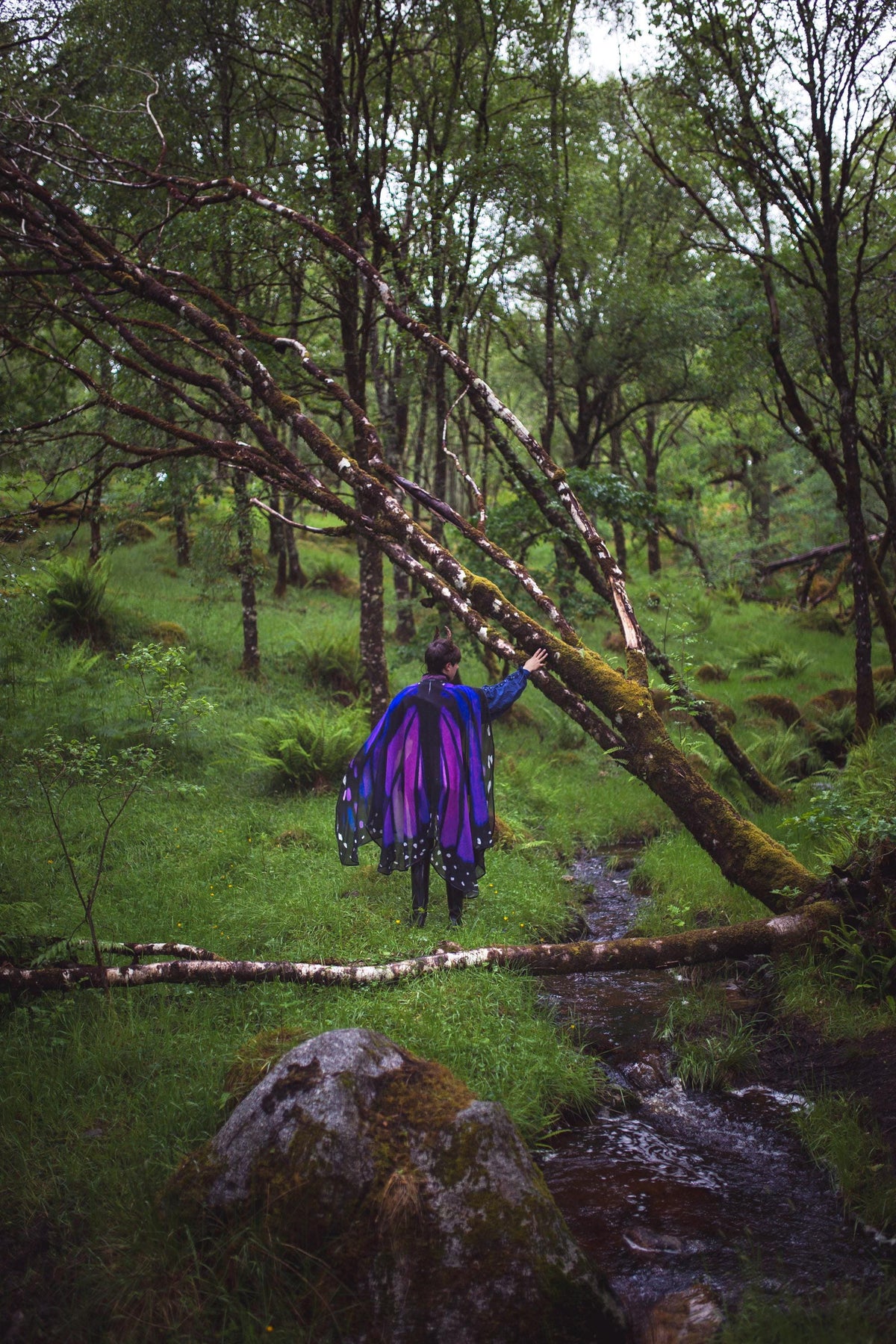 Alas de Mariposa Monarca Morada Gigantes