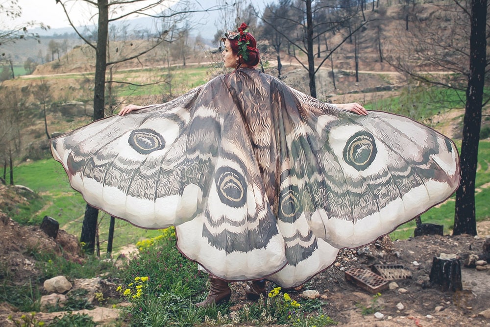 Alas de Polilla Emperador Gigantes