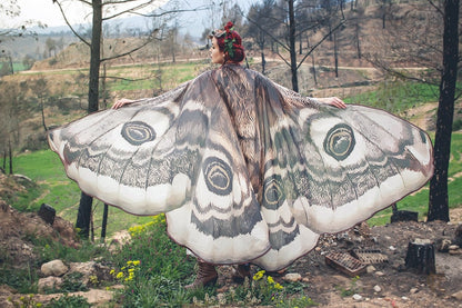 Alas de Polilla Emperador Gigantes