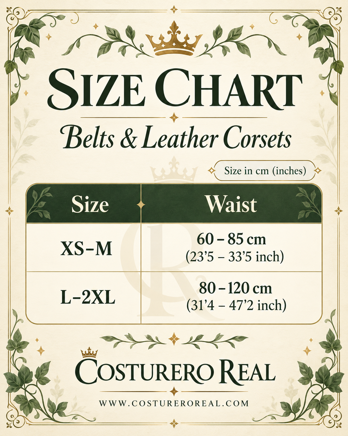 Corset Armadura Plateada de Cuero